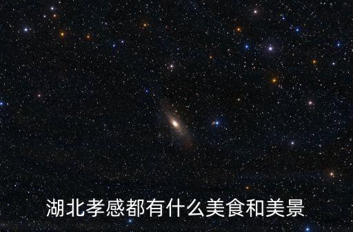 孝感的美食有哪些怎么畫,孝感有什么特色美食