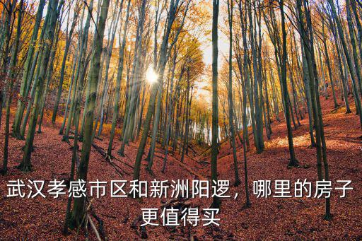 武漢孝感市區和新洲陽邏，哪里的房子更值得買