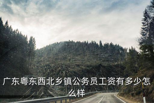河北公務員鄉鎮的工資多少,縣直和鄉鎮的工資分別是多少