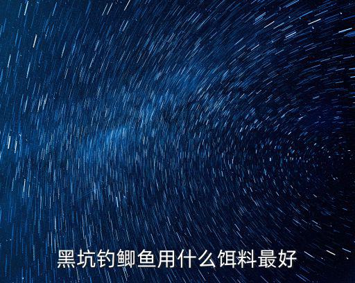 黑坑釣鯽魚用什么餌料最好