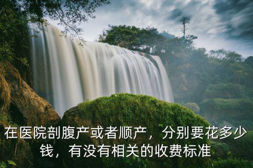 在醫(yī)院剖腹產(chǎn)或者順產(chǎn)，分別要花多少錢，有沒有相關(guān)的收費(fèi)標(biāo)準(zhǔn)