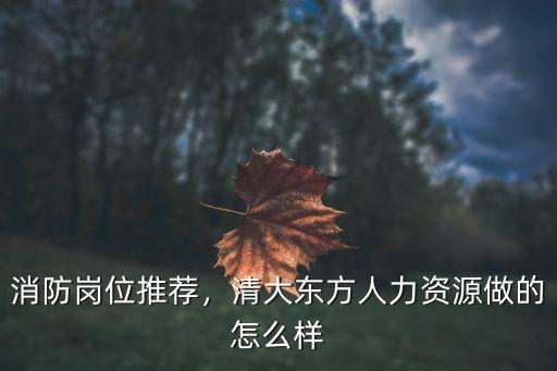 消防崗位推薦，清大東方人力資源做的怎么樣