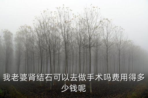 合肥腎結石手術費用大概是多少錢,費用得多少錢呢