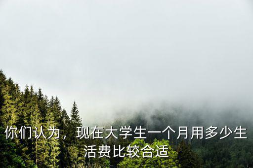 你們認(rèn)為，現(xiàn)在大學(xué)生一個(gè)月用多少生活費(fèi)比較合適