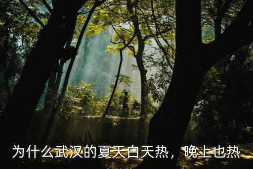 武漢夏天晚上熱怎么回事,為什么武漢的夏天白天熱