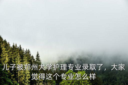鄭州中德護(hù)理怎么樣,鄭州大學(xué)護(hù)理學(xué)院怎么樣