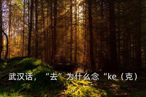 武漢話，“去”為什么念“ke（克）”
