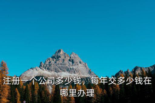 注冊一個公司多少錢，每年交多少錢在哪里辦理
