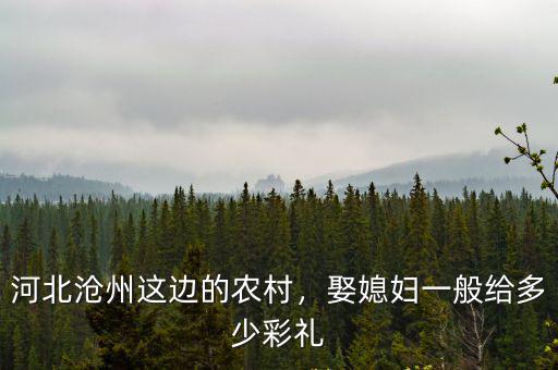 河北滄州娶媳婦的三斤二兩是多少,結婚三斤二兩是多少錢