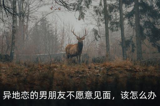 異地戀的男朋友不愿意見面，該怎么辦