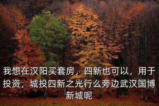 武漢漢陽國博新城d區怎么樣,旁邊武漢國博新城呢
