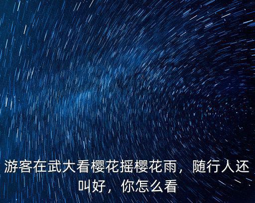 游客在武大看櫻花搖櫻花雨，隨行人還叫好，你怎么看