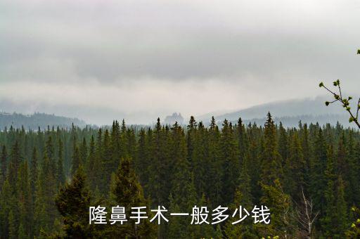 邢臺隆鼻大約要多少錢,隆鼻加割雙眼皮大約要多少錢