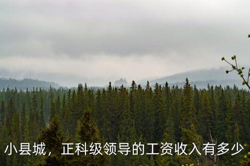 小縣城，正科級領導的工資收入有多少