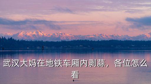 武漢地鐵怎么看車廂,武漢大媽在地鐵車廂內剝蒜