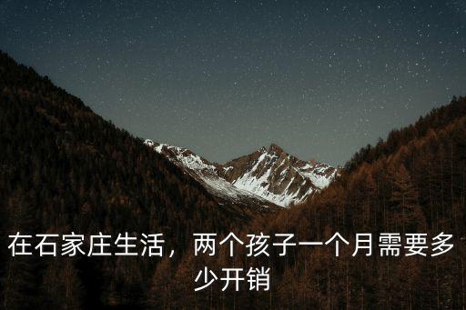 在石家莊生活，兩個孩子一個月需要多少開銷