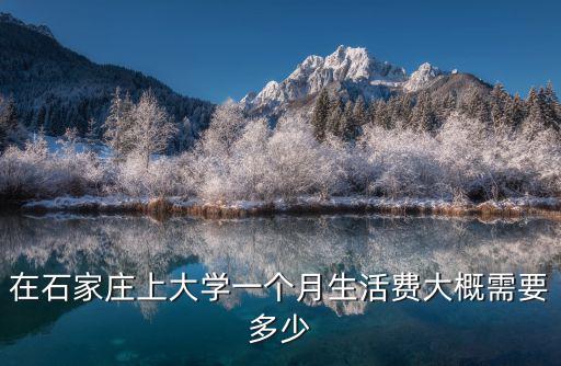 石家莊大學生一晚多少錢啊,在石家莊月薪多少算比較正常