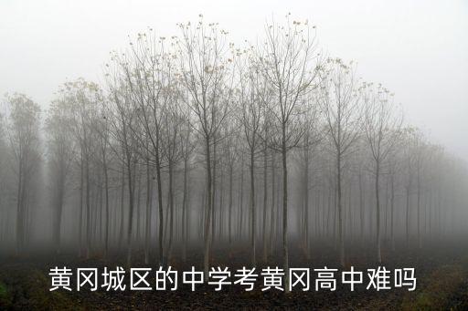 黃岡浠水蘭溪高中建得怎么樣,黃岡發展得怎么樣