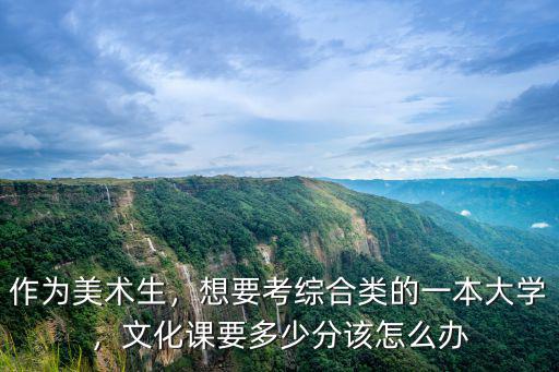 河北美術省考一本要多少分,河北美術聯考249分