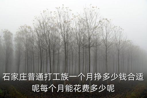 石家莊付灶工資多少,石家莊大部分人工資是多少