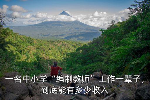 保定在編小學教師年終能拿多少,編制內教師年終能拿多少錢