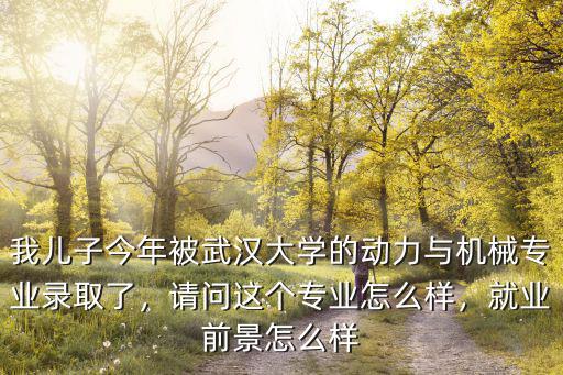 我兒子今年被武漢大學的動力與機械專業錄取了，請問這個專業怎么樣，就業前景怎么樣
