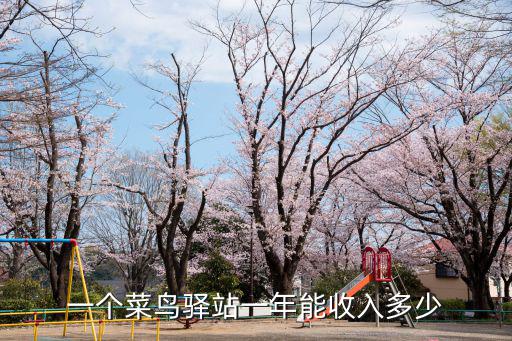一個菜鳥驛站一年能收入多少
