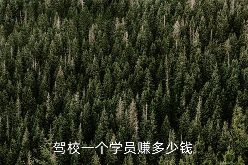 安慶公安駕校教練工資多少錢,教練能掙多少錢