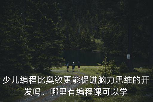 少兒編程比奧數更能促進腦力思維的開發嗎，哪里有編程課可以學