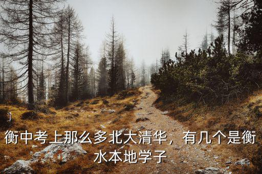 2018年衡水一中考上多少清華,衡中考上清華北大多少名