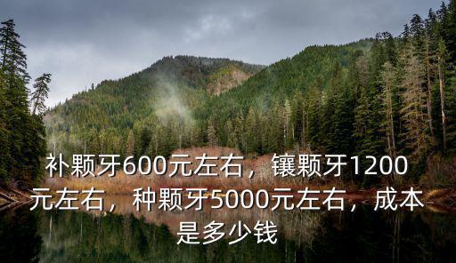 補顆牙600元左右，鑲顆牙1200元左右，種顆牙5000元左右，成本是多少錢