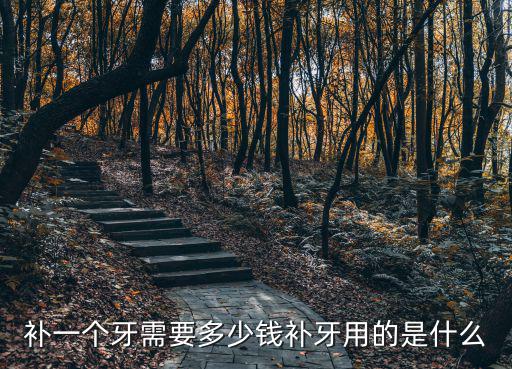 補一個牙需要多少錢補牙用的是什么