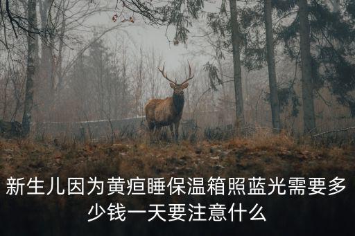 新生兒因為黃疸睡保溫箱照藍光需要多少錢一天要注意什么