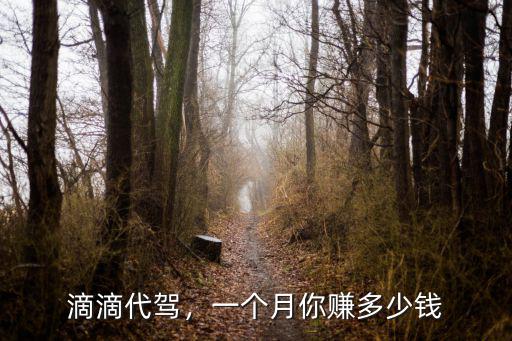 在合肥代駕一個(gè)月能跑多少錢一個(gè)月,一個(gè)月5.6k