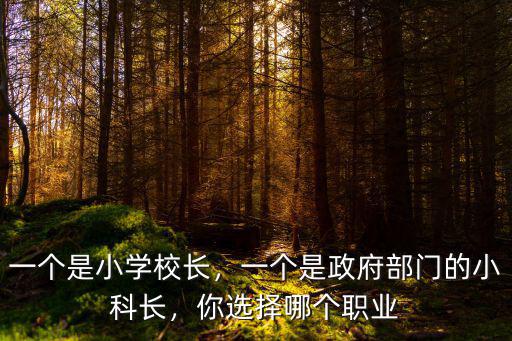 河北任丘第一實驗小學校長電話是多少,一個是小學校長