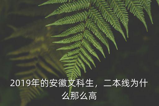 2019年的安徽文科生，二本線為什么那么高