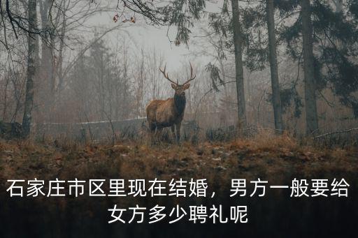 石家莊訂婚一般給多少,男方一般要給女方多少聘禮呢