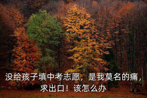 孝感中考志愿填寫沒簽字怎么辦,中考沒有填志愿怎么辦