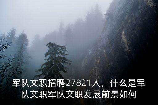 安徽省女生軍隊文職招多少人,軍隊文職招聘27821人