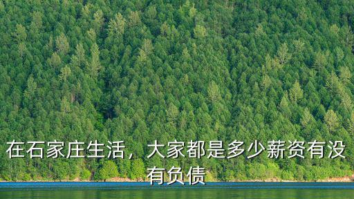 在石家莊生活，大家都是多少薪資有沒有負債