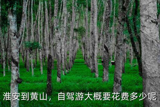 黃山自駕游花費多少,自駕游大概要花費多少呢