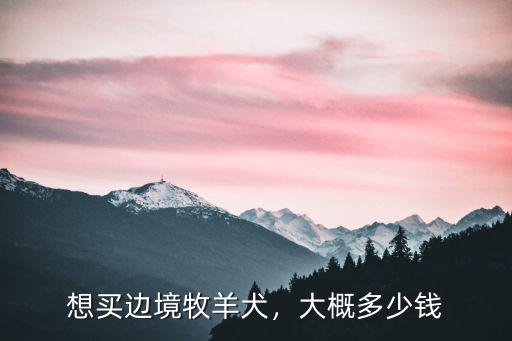 想買邊境牧羊犬，大概多少錢