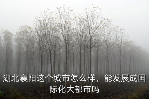 襄陽(yáng)城市心跳怎么樣,襄陽(yáng)城市規(guī)劃怎么樣