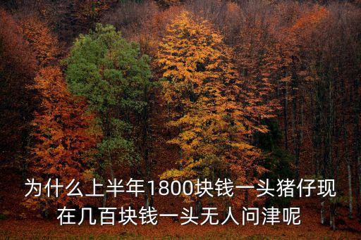 為什么上半年1800塊錢一頭豬仔現在幾百塊錢一頭無人問津呢