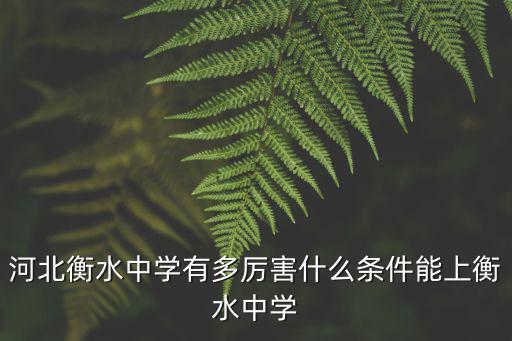 衡水中學(xué)容納多少人就餐,河北衡水中學(xué)有多厲害