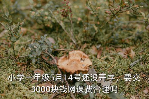 小學一年級5月14號還沒開學，要交3000塊錢網課費合理嗎