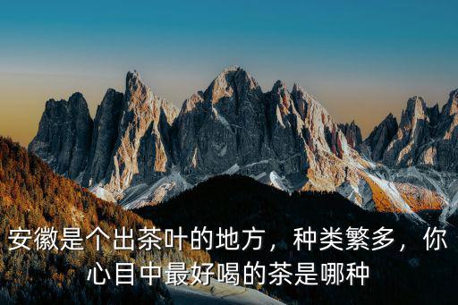 安徽是個(gè)出茶葉的地方，種類繁多，你心目中最好喝的茶是哪種