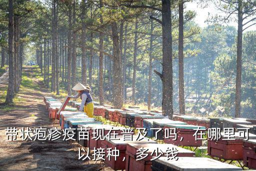合肥帶狀皰疹疫苗多少錢一針,上海打皰疹疫苗多少錢