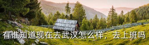 哈鹵武漢待遇怎么樣,武漢小米公司待遇怎么樣