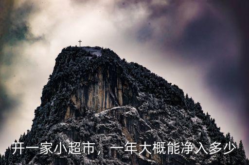 石家莊小區超市毛利大概多少,一年大概能凈入多少